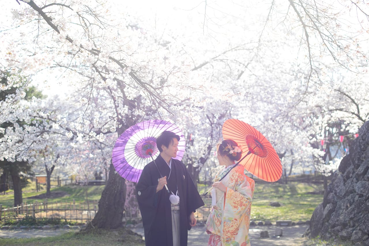 満開の桜の下で和装で和傘をさすカップル